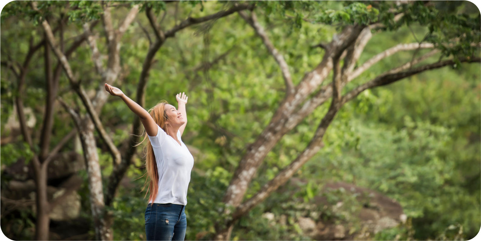 coaching and mindfulness